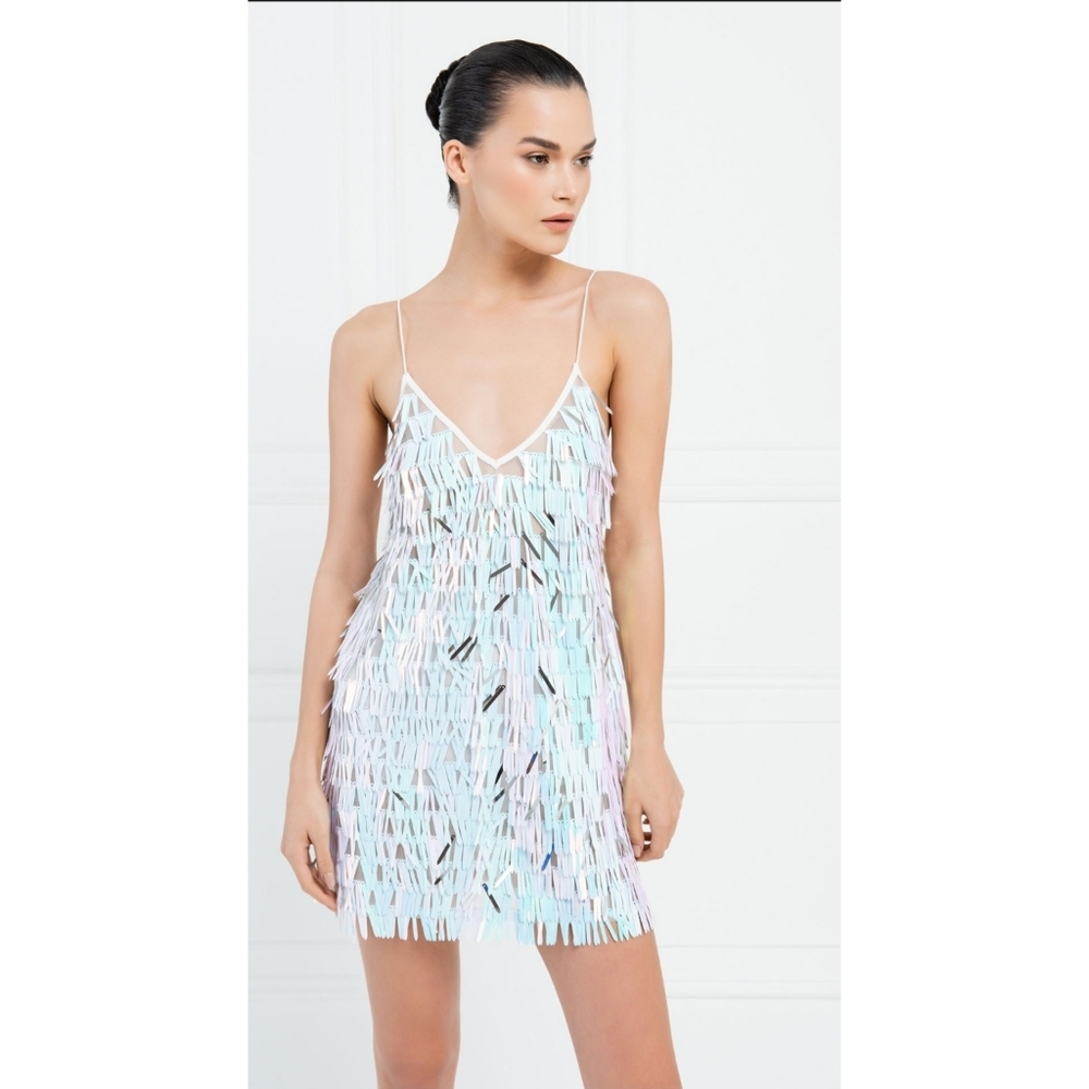 Backless Fringe Sequin JanJan Dress